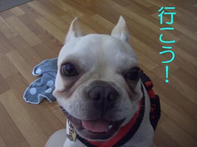 散たの9