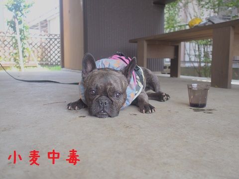 t9_20150508183801f7d.jpg