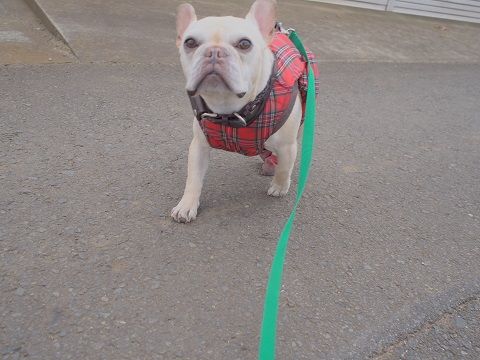 b11_20140130152533e49.jpg