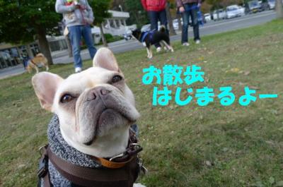 fukusan7.jpg