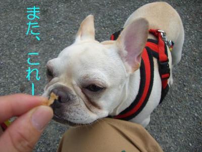 小田原10・7・10-3