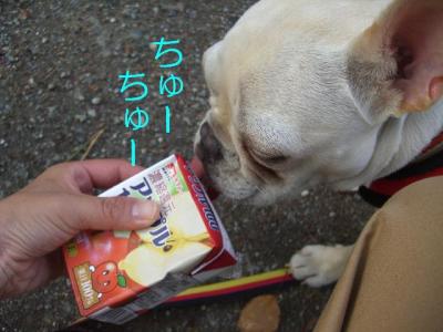 小田原10・7・10-6