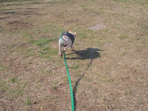 ume6_20140222103732b12.jpg