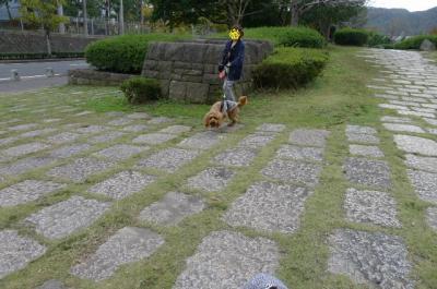 fukusan20.jpg