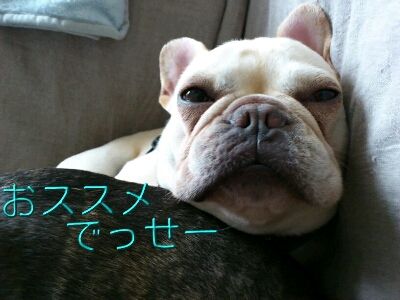 fc2blog_201206241353464c4.jpg