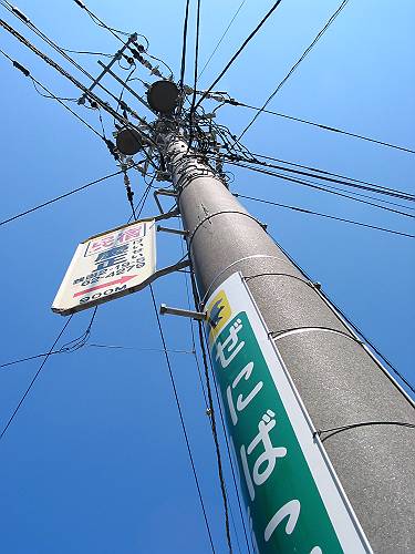 ぜにばこ