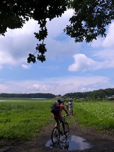R0012126