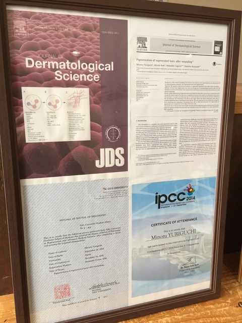 論文をJournal of Dermatological Scienceに公開中
