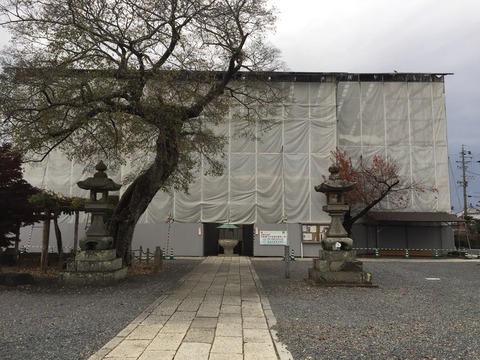 曼陀羅寺2017