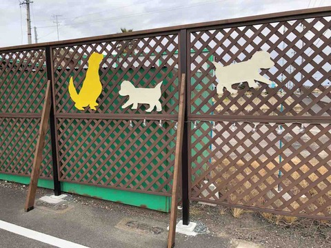 『Dog Salon kico(ドッグサロン キコ)』