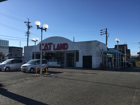 キャットランド江南店閉店