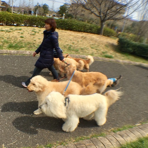 2017-03-18-12-53-47