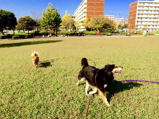 2015-10-19-09-45-55