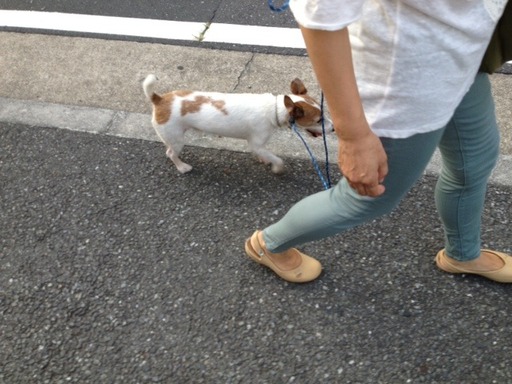 イメージ 1