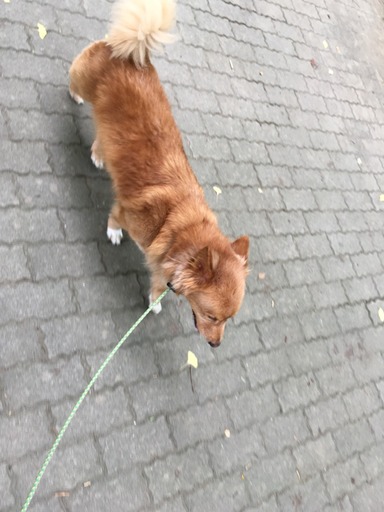 2016-07-26-12-38-45