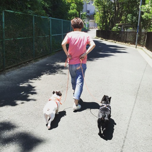 2016-07-03-11-09-15
