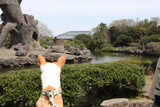 シャボテン公園12
