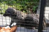 シャボテン公園17