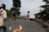 シャボテン公園15