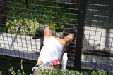 シャボテン公園18
