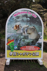 シャボテン公園22