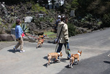 シャボテン公園25