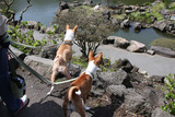 シャボテン公園4