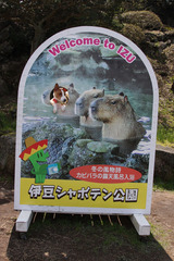 シャボテン公園21