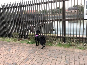 IMG_3258