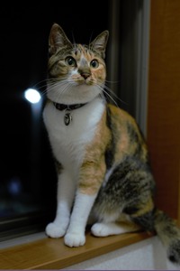 DSC_0508