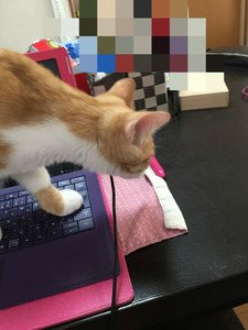 BlogPaint