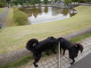 DSCN0442