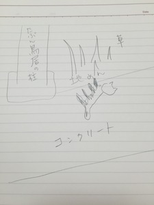 20150326_033551518_iOS