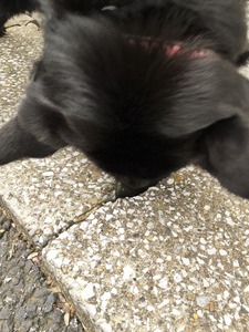 20150320_075724099_iOS