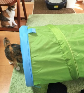 20150330_064729046_iOS (2)