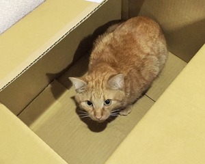 20150302_111809886_iOS (2)