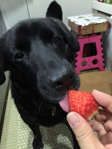 20150130_084953499_iOS