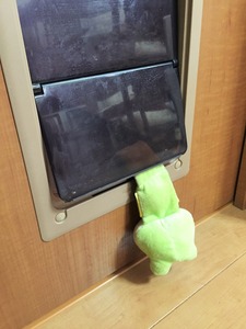 20150312_013311846_iOS