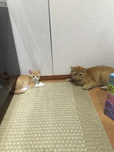 20150901_101711072_iOS