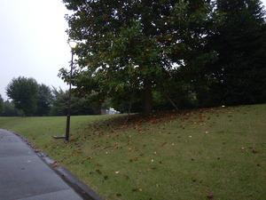 DSCN0199