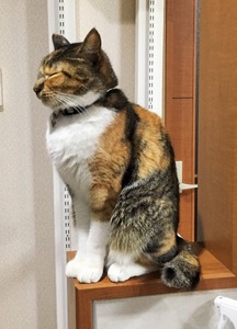 20150302_104331140_iOS (2)