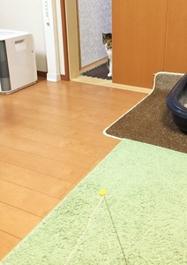 20150224_130413658_iOS (2)