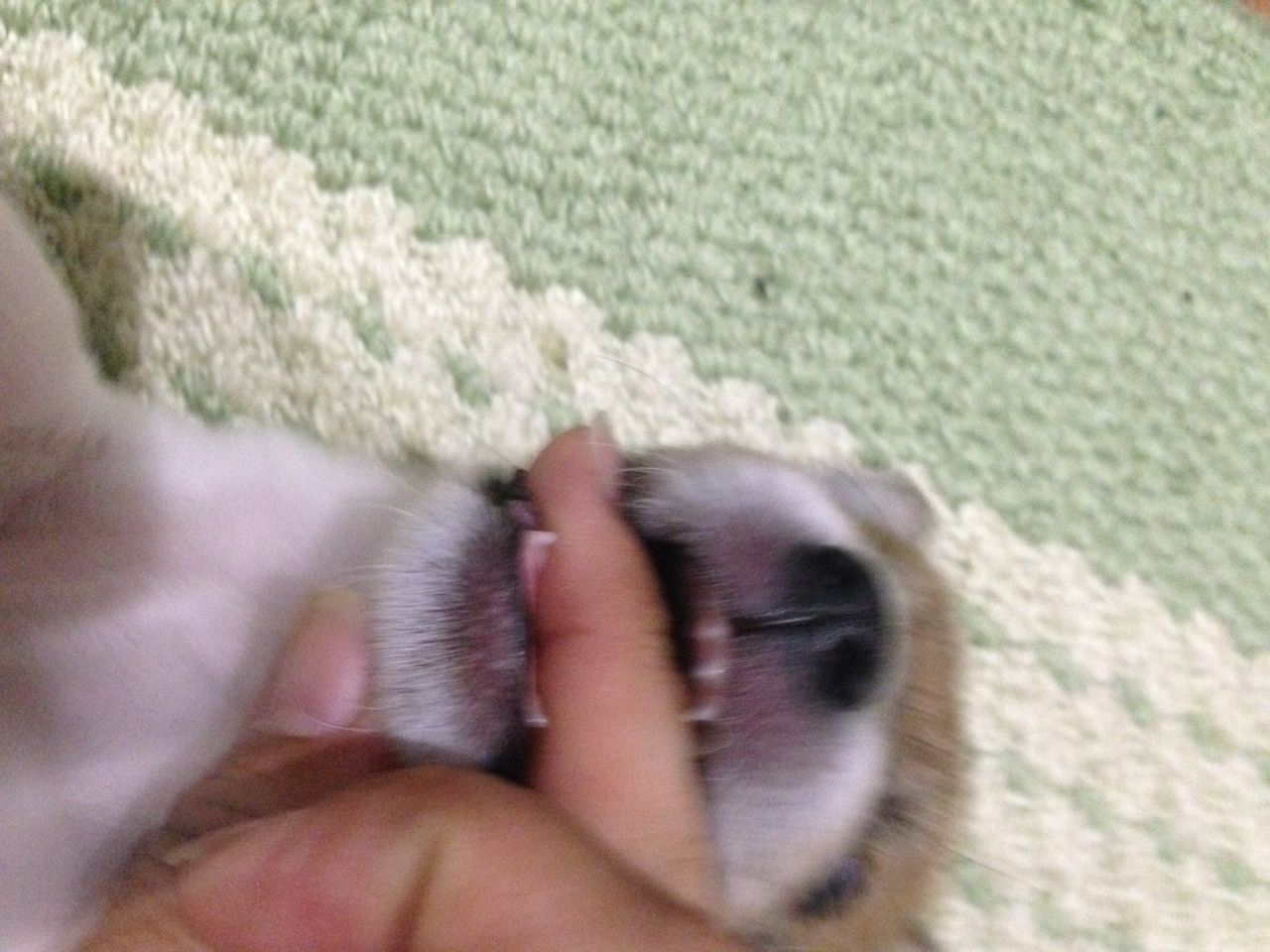 小次郎025