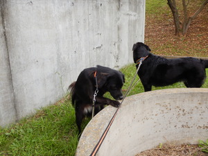 DSCN0430