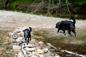 DSC_2829 (2)