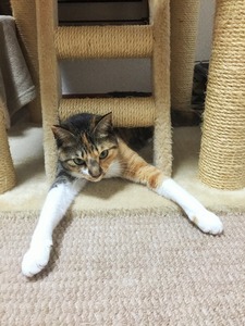 20150424_162316020_iOS (2)