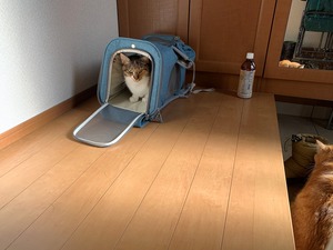 IMG_5061