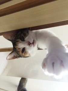 20160118_020356994_iOS (2)