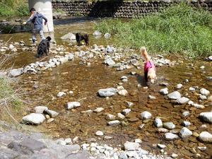 DSCN0252