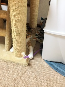 20150424_161449927_iOS